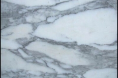 Arabescato-Corchia-1st-qual